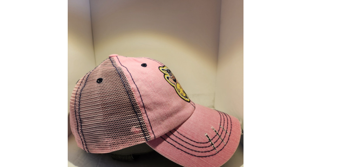 Pokémon Milktank Low Profile Distressed Hat