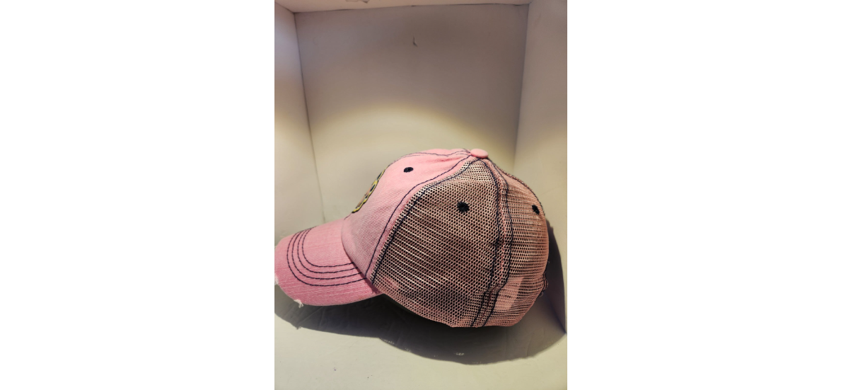 Pokémon Milktank Low Profile Distressed Hat